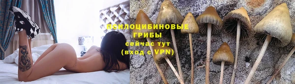 гашиш Кулебаки