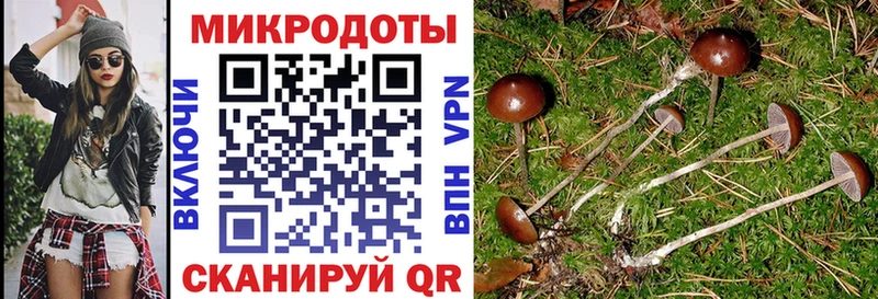 hydra ONION  где купить наркоту  Сычёвка  Галлюциногенные грибы Cubensis 