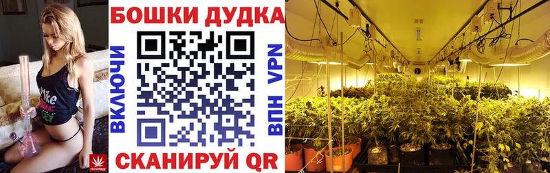 Каннабис семена  сколько стоит  Сычёвка 